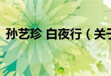 孫藝珍 白夜行（關(guān)于孫藝珍 白夜行的介紹）