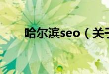 哈爾濱seo（關(guān)于哈爾濱seo的介紹）