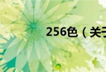 256色（關(guān)于256色的介紹）