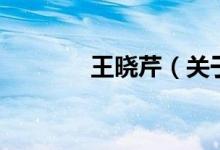 王曉芹（關(guān)于王曉芹的介紹）