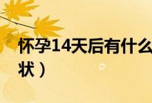 懷孕14天后有什么癥狀（懷孕14天有什么癥狀）