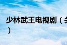 少林武王電視?。P(guān)于少林武王電視劇的介紹）
