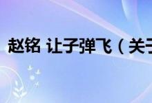 趙銘 讓子彈飛（關(guān)于趙銘 讓子彈飛的介紹）