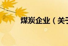 煤炭企業(yè)（關(guān)于煤炭企業(yè)的介紹）