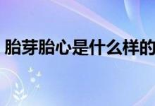 胎芽胎心是什么樣的（胎芽胎心是什么意思）