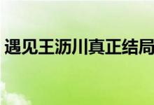 遇見王瀝川真正結(jié)局（該劇講述了什么故事）