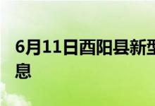 6月11日酉陽縣新型冠狀病毒肺炎疫情最新消息