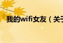 我的wifi女友（關(guān)于我的wifi女友的介紹）