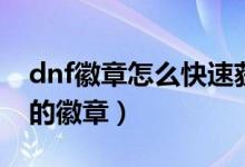 dnf徽章怎么快速獲得（dnf怎么得到屬性好的徽章）