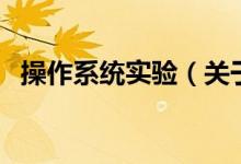 操作系統(tǒng)實驗（關(guān)于操作系統(tǒng)實驗的介紹）