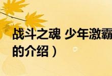 戰(zhàn)斗之魂 少年激霸（關于戰(zhàn)斗之魂 少年激霸的介紹）