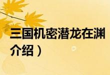 三國機(jī)密潛龍在淵（關(guān)于三國機(jī)密潛龍在淵的介紹）