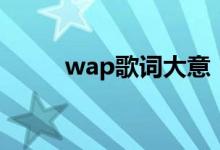 wap歌詞大意（wap的歌詞大意）