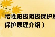 犧牲陽極陰極保護原理是什么（犧牲陽極陰極保護原理介紹）