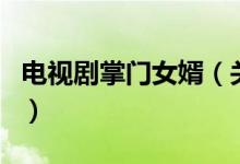 電視劇掌門女婿（關于電視劇掌門女婿的介紹）