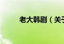 老大韓?。P(guān)于老大韓劇的介紹）