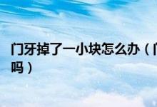 門牙掉了一小塊怎么辦（門牙掉了一小塊怎么辦,可以補(bǔ)上去嗎）