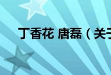 丁香花 唐磊（關(guān)于丁香花 唐磊的介紹）