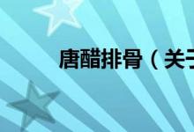 唐醋排骨（關(guān)于唐醋排骨的介紹）