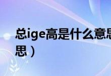總ige高是什么意思怎么辦（總ige高什么意思）
