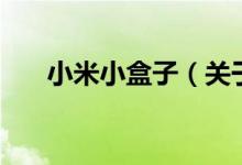 小米小盒子（關(guān)于小米小盒子的介紹）