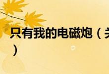 只有我的電磁炮（關(guān)于只有我的電磁炮的介紹）