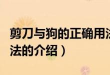 剪刀與狗的正確用法（關(guān)于剪刀與狗的正確用法的介紹）