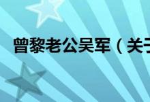 曾黎老公吳軍（關(guān)于曾黎老公吳軍的介紹）