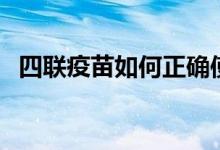四聯(lián)疫苗如何正確使用（四聯(lián)疫苗是什么）