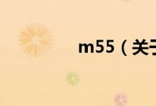 m55（關(guān)于m55的介紹）