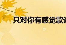 只對你有感覺歌詞（這首歌是誰唱的）