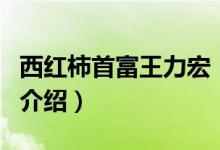 西紅柿首富王力宏（關于西紅柿首富王力宏的介紹）