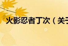 火影忍者丁次（關(guān)于火影忍者丁次的介紹）