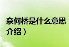 奈何橋是什么意思（關(guān)于奈何橋是什么意思的介紹）