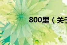 800里（關(guān)于800里的介紹）