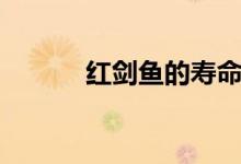 紅劍魚的壽命（大概能活多久）