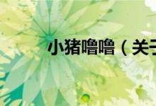 小豬嚕嚕（關于小豬嚕嚕的介紹）