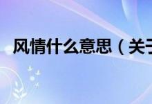 風情什么意思（關(guān)于風情什么意思的介紹）