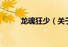 龍魂狂少（關(guān)于龍魂狂少的介紹）
