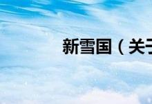 新雪國（關(guān)于新雪國的介紹）