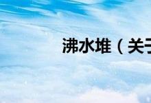 沸水堆（關(guān)于沸水堆的介紹）