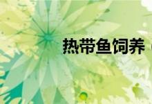 熱帶魚飼養(yǎng)（熱帶魚怎么養(yǎng)）