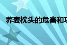蕎麥枕頭的危害和功效（蕎麥枕頭的危害）