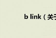 b link（關(guān)于b link的介紹）
