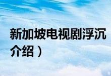 新加坡電視劇浮沉（關(guān)于新加坡電視劇浮沉的介紹）