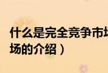 什么是完全競爭市場（關(guān)于什么是完全競爭市場的介紹）