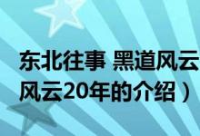 東北往事 黑道風(fēng)云20年（關(guān)于東北往事 黑道風(fēng)云20年的介紹）