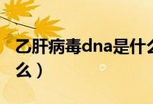 乙肝病毒dna是什么項(xiàng)目（乙肝病毒dna是什么）