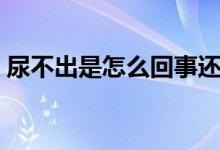 尿不出是怎么回事還疼（尿不出是怎么回事）