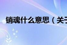 銷魂什么意思（關(guān)于銷魂什么意思的介紹）